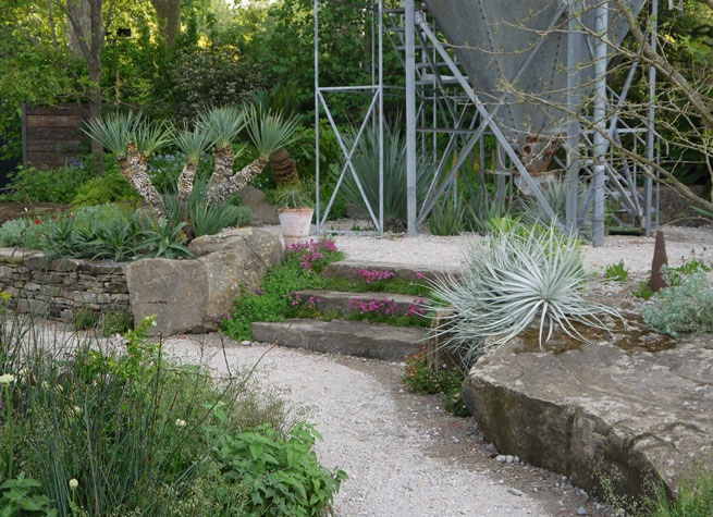 resilience garden from RHS Chelsea flower show - tropical planting