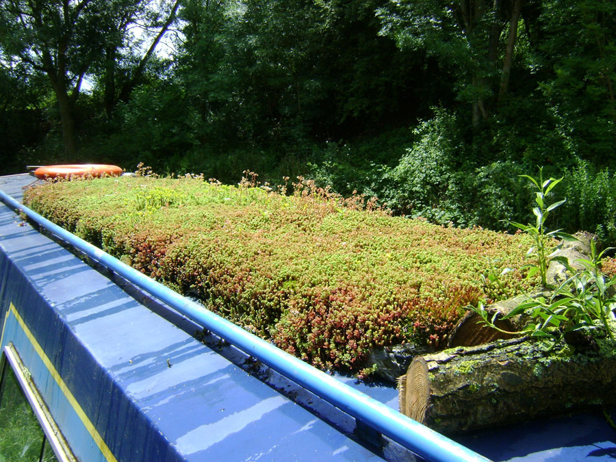 sedum green roof on house boat