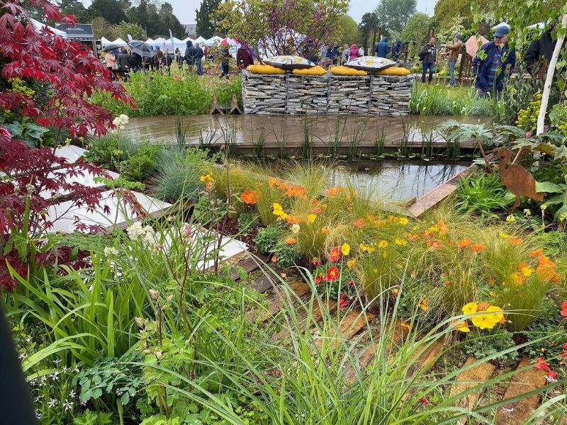 beautiful show garden with decking and pool, red leaved acer tree in the foreground