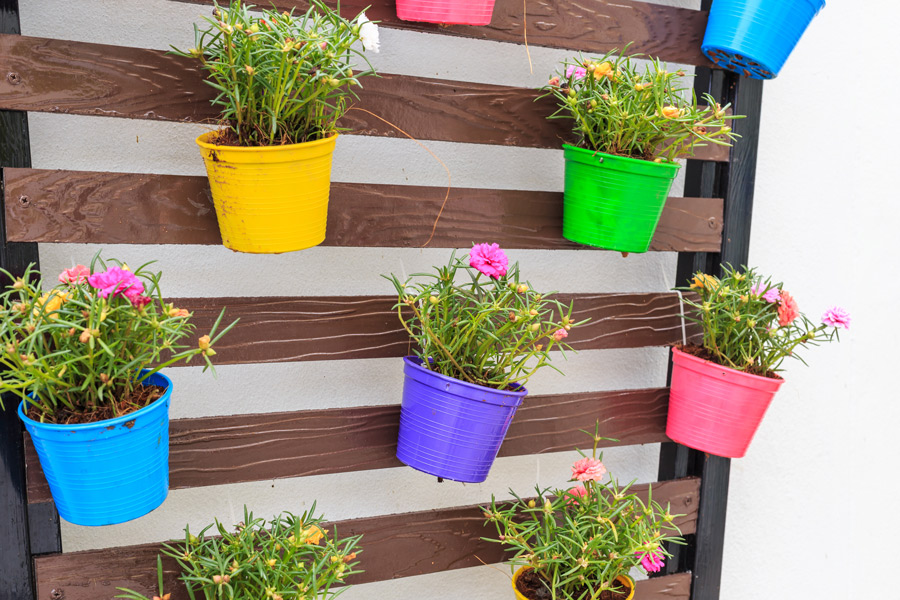 living wall made with pallets and colourful pots of plants