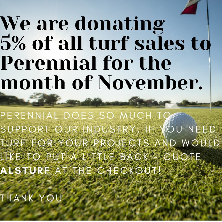 fundraising offer for Perennial charity november 2020