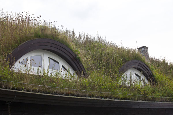 rustic roof with arched dormer windows and living green roof with wildflowers